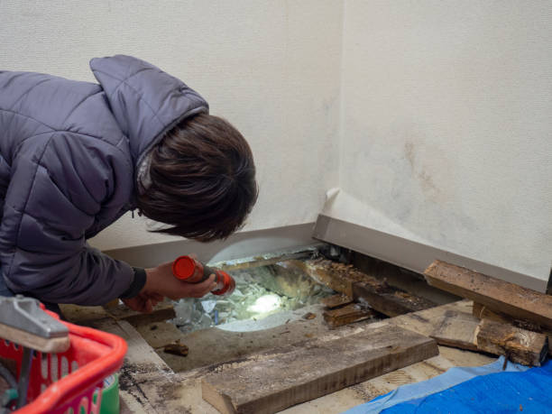 Best Post-Remediation Verification Testing  in Centennial Park, AZ