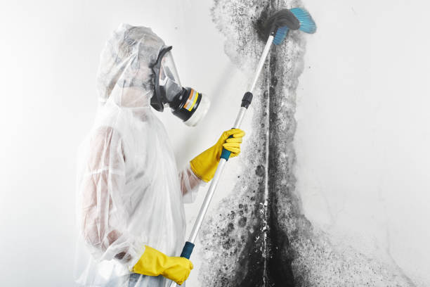 Best Air Quality Testing for Mold Spores  in Centennial Park, AZ