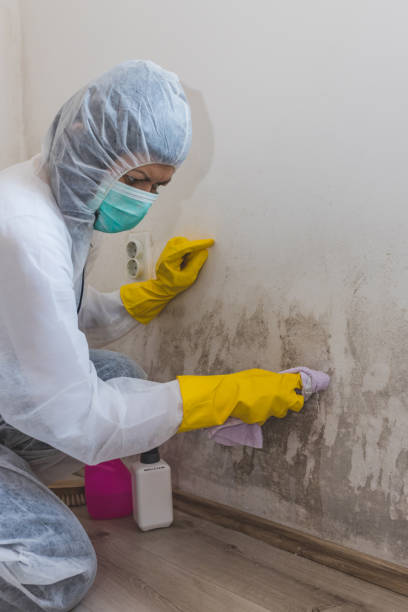 Best Indoor Air Quality Assessment  in Centennial Park, AZ