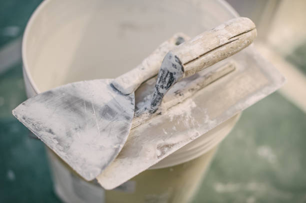 Best Basement Mold Removal  in Centennial Park, AZ