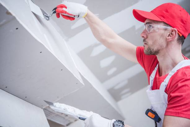 Environmental Consulting for Mold Prevention in Centennial Park, AZ